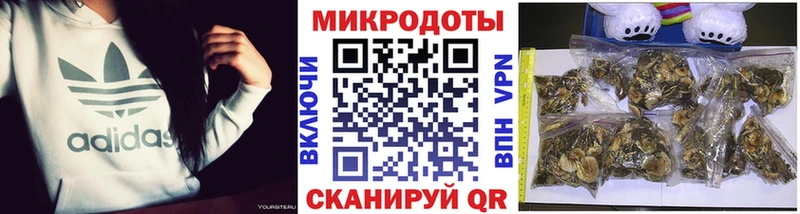 Галлюциногенные грибы Magic Shrooms  как найти   Иваново 