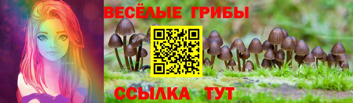 Иваново  Псилоцибиновые грибы Magic Shrooms  Вход с VPN 